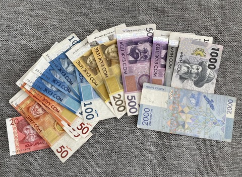 キルギスの通貨の画像です。